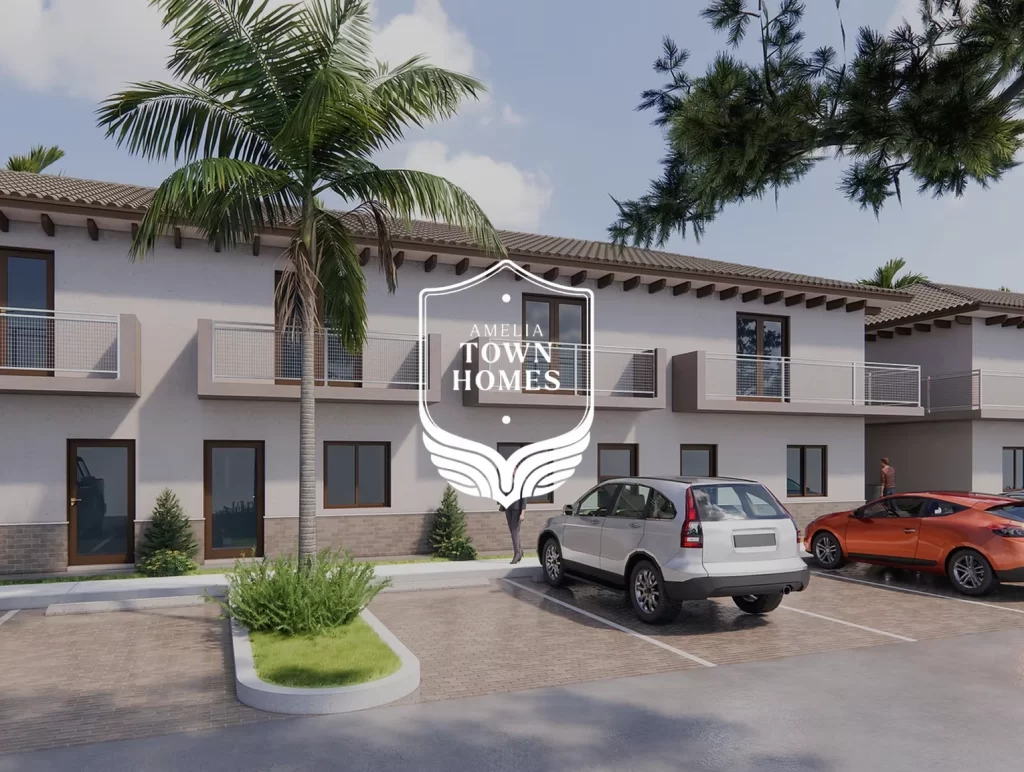 Amelia Town Homes marketing design by Creative Mindworks